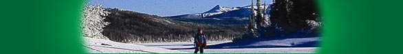 Winter Trips