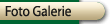 Bilder Galerie