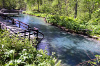 Liard Hot Springs