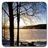 Winter morning
