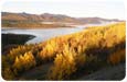 Herbstwanderungen Tungsten