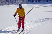 Langlauf auf perfekter Loipe