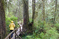 Vorher: intaktes Primärwald-Ökosystem