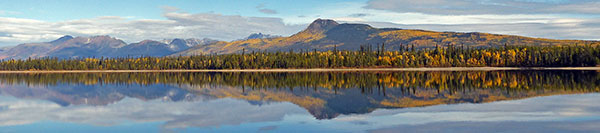 Herbstfarben am Frances Lake Ostarm