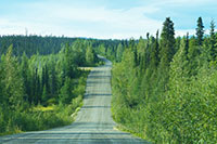 Die letzten Kilometer zum Frances Lake sind immer noch gute alte Gravel Road