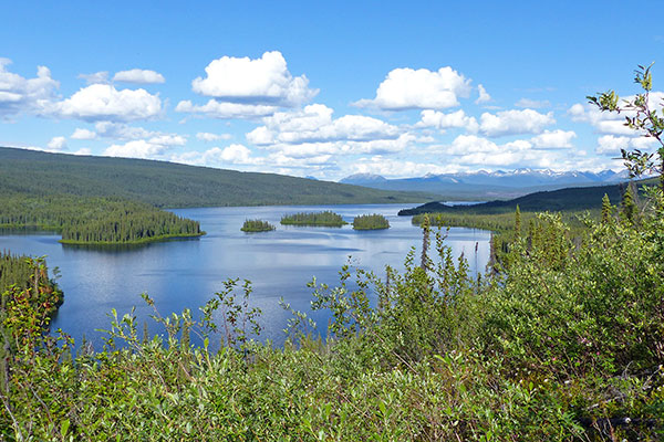 Mid-summer at Frances Lake (lodge bay)