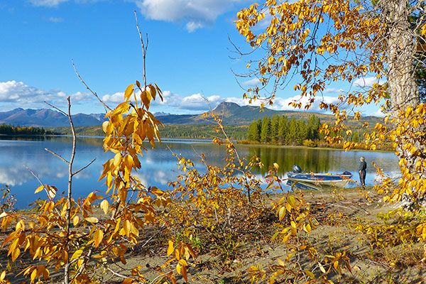 Fall colours at Frances Lake