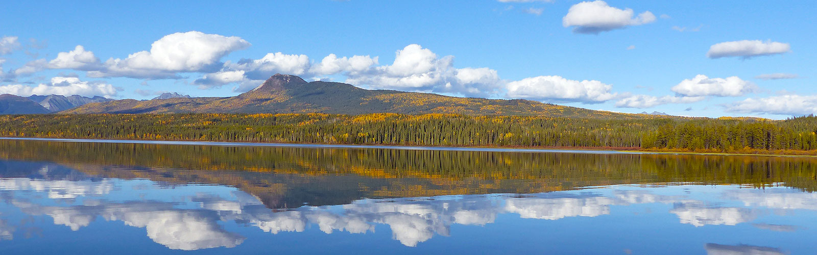 Fall colours in the East Arm